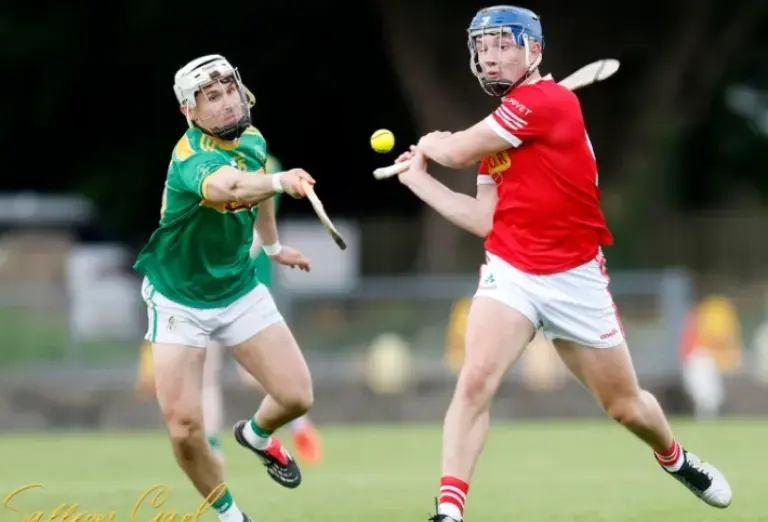 Feis hurling